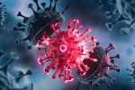 Coronavirus, USA Coronavirus latest updates, delta variant makes usa tensed again, Covid 19 patients