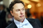 Elon Musk India visit team, Elon Musk India visit, elon musk s india visit delayed, Tesla
