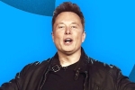 Elon Musk breaking updates, Elon Musk news, elon musk s new ultimatum to twitter staffers, Tesla