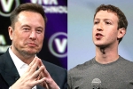 Elon Musk and Mark Zuckerberg breaking, Elon Musk and Mark Zuckerberg latest, elon vs zuckerberg mma fight ahead, Tech giants