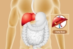 Fatty Liver health, Fatty Liver tips, dangers of fatty liver, Tips