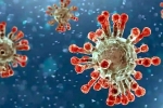 China Covid Row news, China, new china coronavirus variant traced in india, Covid 19