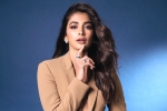 Pooja Hegde next movies, Pooja Hegde 2024, pooja hegde lines up bollywood films, Movies