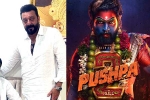 Pushpa: The Rule budget, Pushpa: The Rule latest updates, sanjay dutt s surprise in pushpa the rule, 2021