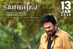 Saindhav updates, Saindhav updates, venkatesh s saindhav locks new release date, Niharika entertainment