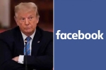 Facebook bans Donald Trump, Donald Trump news, facebook bans donald trump for 2 years, Gravity