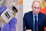 vaccine, Russia, russia launched the first covid 19 vaccine how it works, Eyebrows