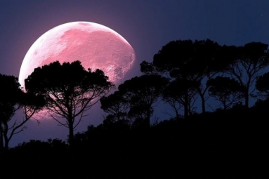 April’s Super Pink Moon To Rise Today: Biggest Of The Year