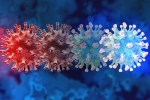 C.1.2 variant, C.1.2 variant breaking news, latest coronavirus variant evades vaccine protection, New covid variant